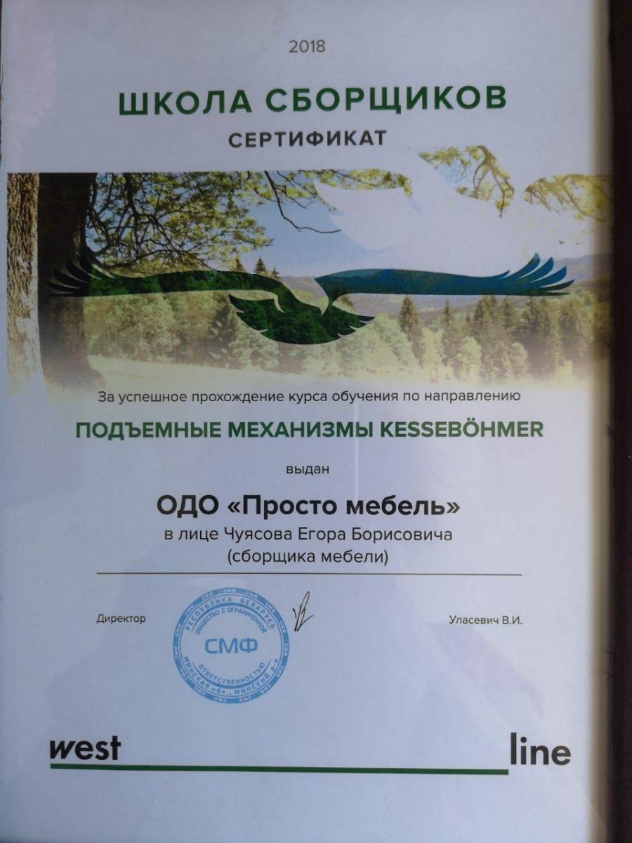 Корпусная мебель под заказ в Гомеле по индивидуальным дизайн-проектам «Просто мебель»