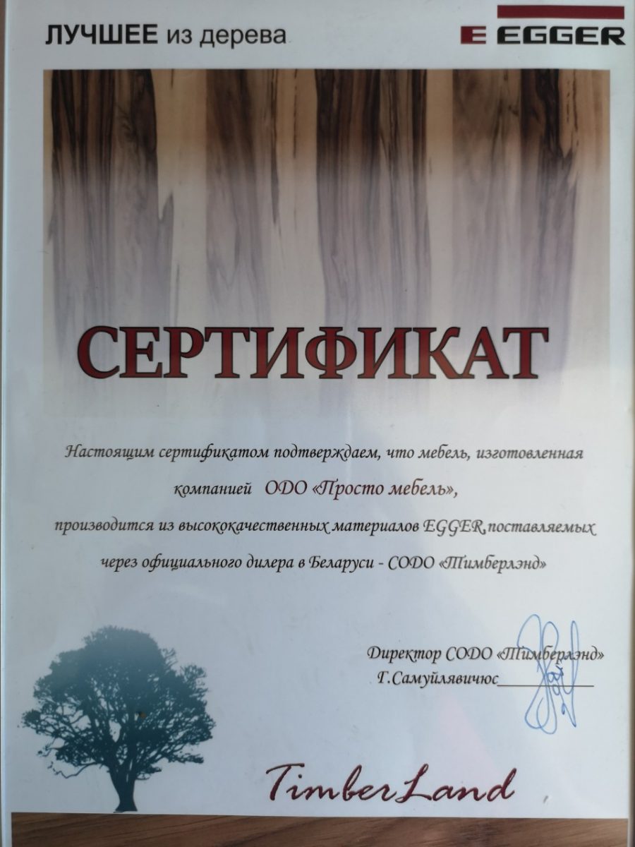 Корпусная мебель под заказ в Гомеле по индивидуальным дизайн-проектам «Просто мебель»